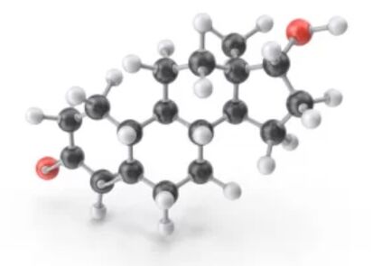 Rand Fungeent Rand contains clotrimazole