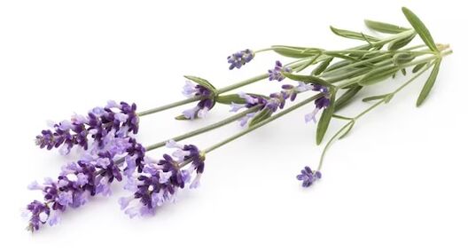 Rand Fungeent Rand contains lavender oil