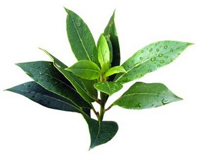 Rand Fungent Rand contains tea tree oil